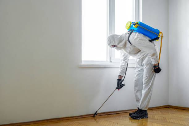 Best Pest Exclusion Services  in Glen Rock, PA